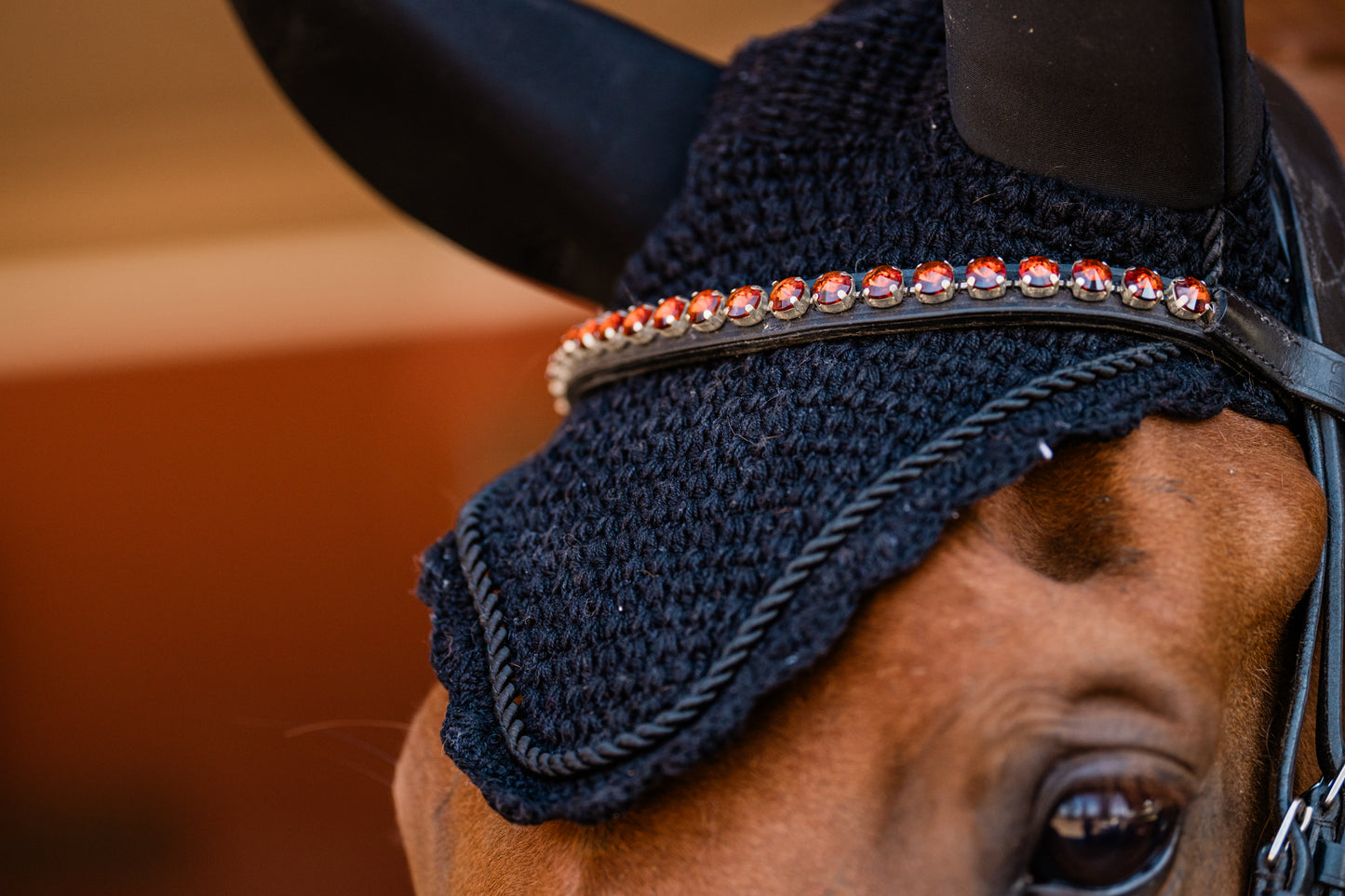 The Ruby Dressage Bridle