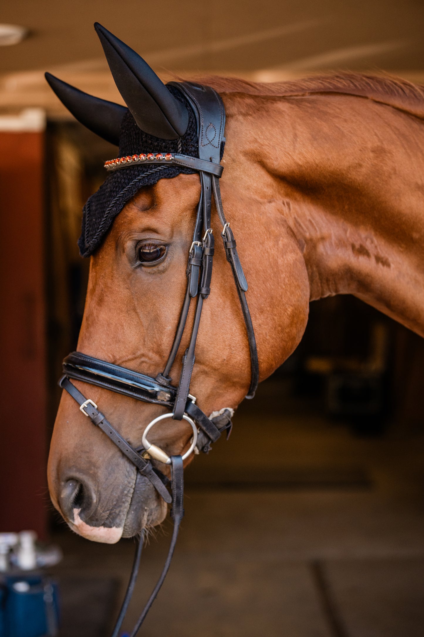 The Ruby Dressage Bridle