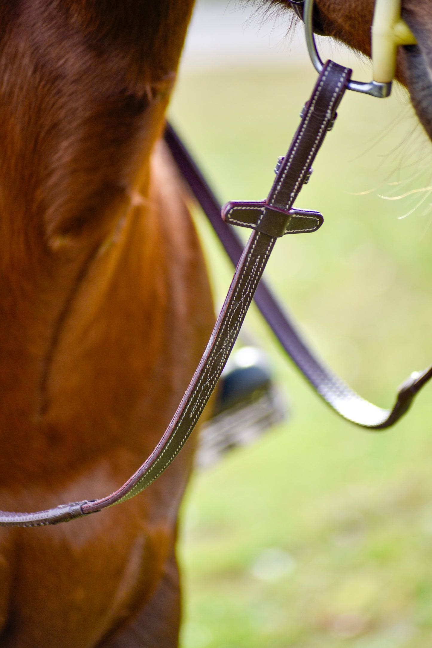 The Rowan Hunter Bridle