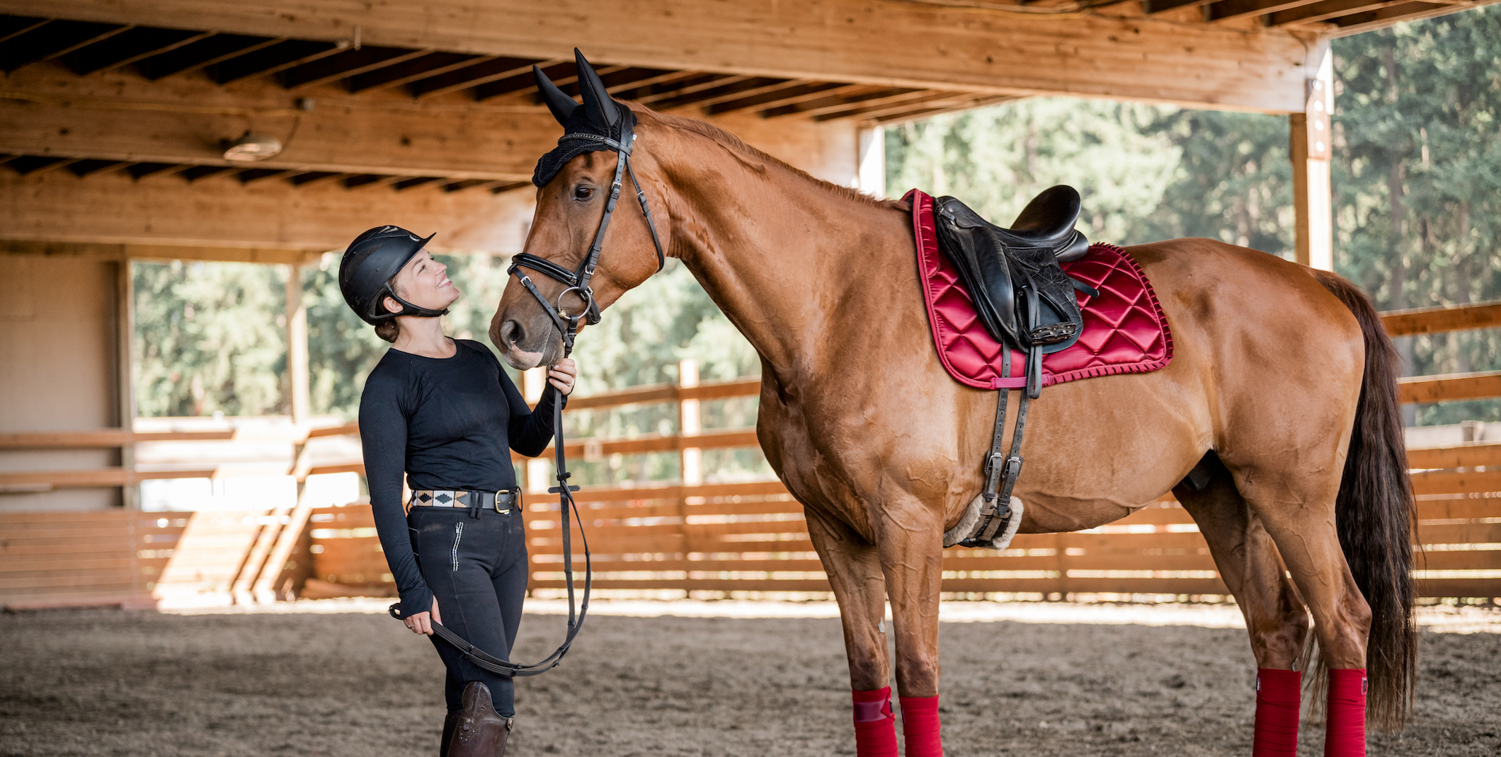 Auven Equestrian Saddle Pad