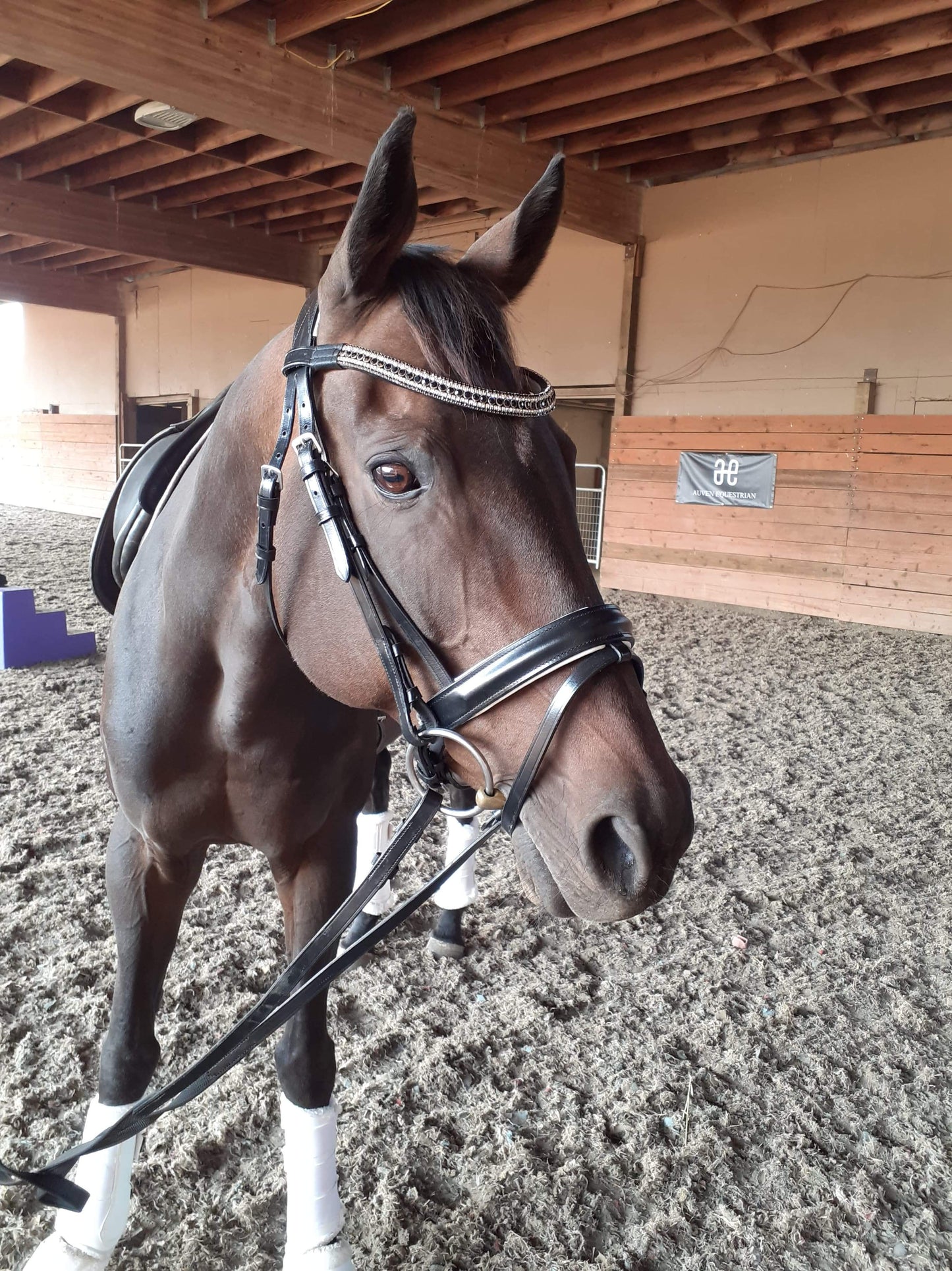 The Abby Dressage Bridle