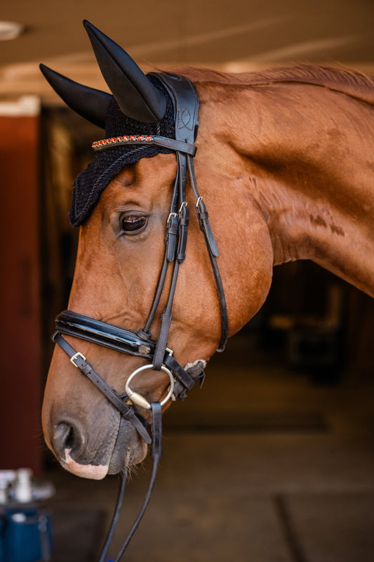 The Ruby Dressage Bridle