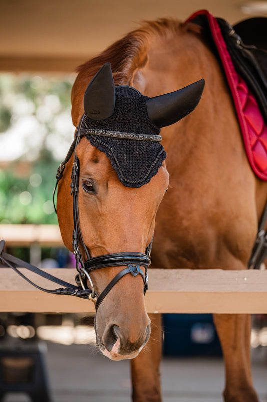 ***LIMITED EDITION*** The Jolina Dressage Bridle