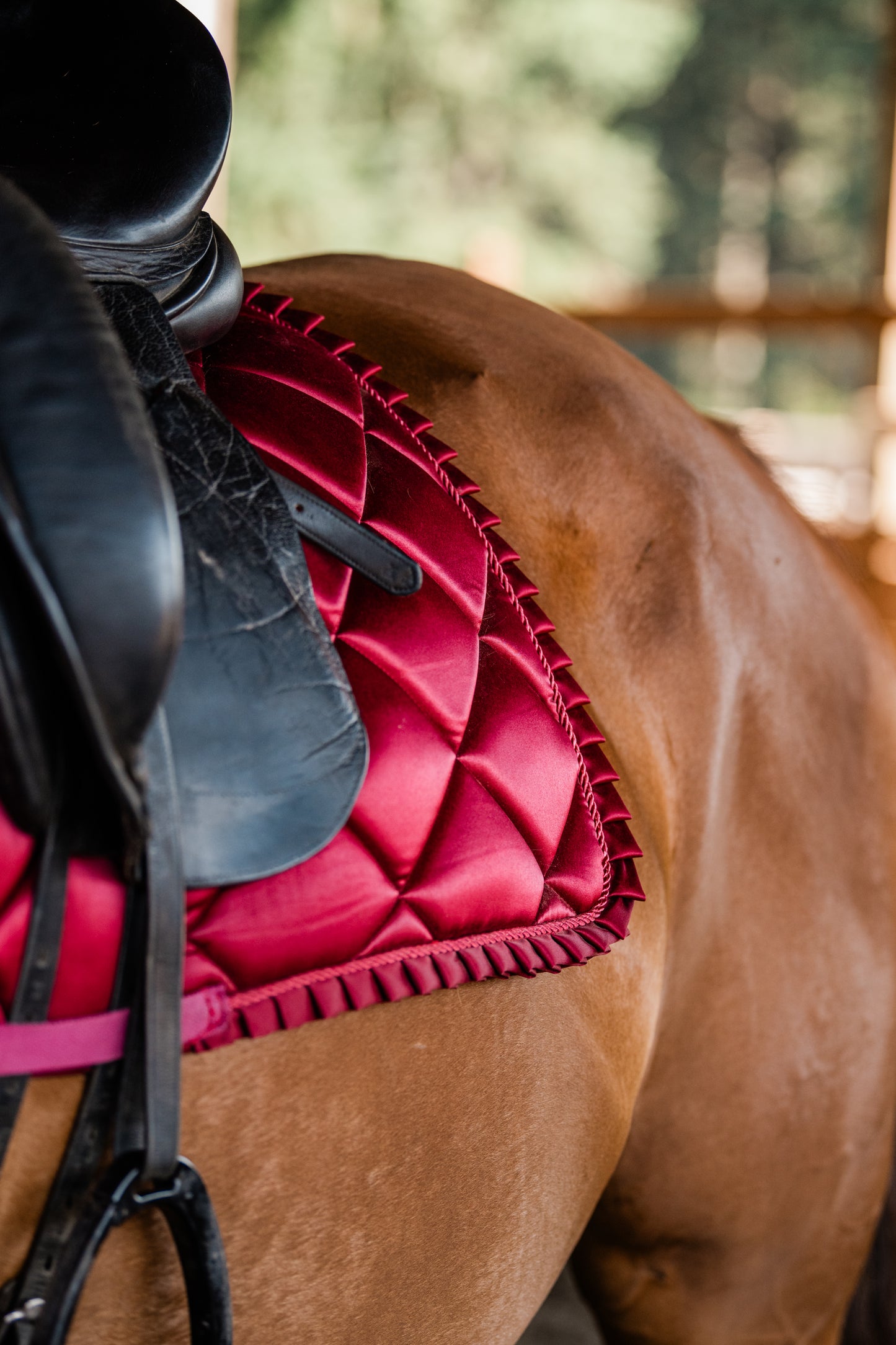 Saddle Pads - Dressage