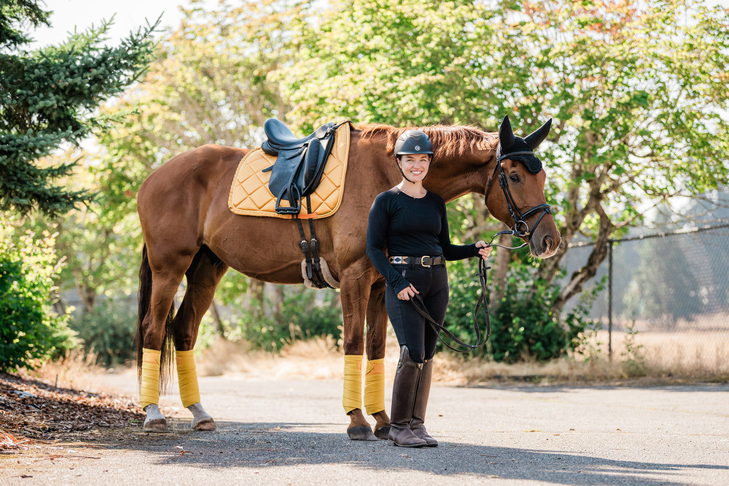 Saddle Pads - Dressage