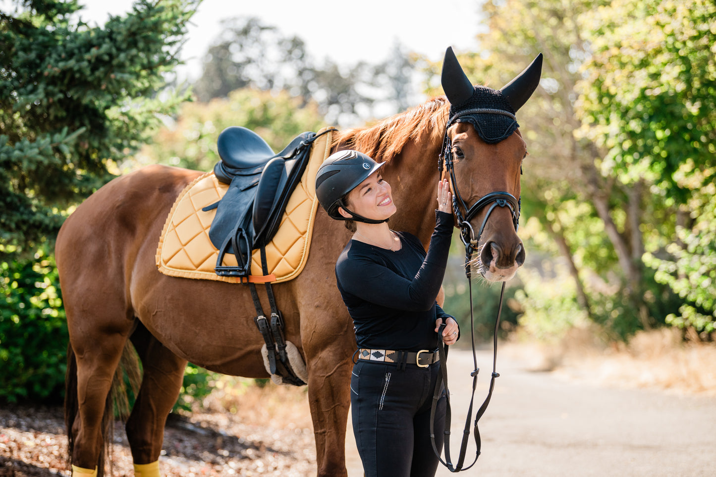 Saddle Pads - Dressage