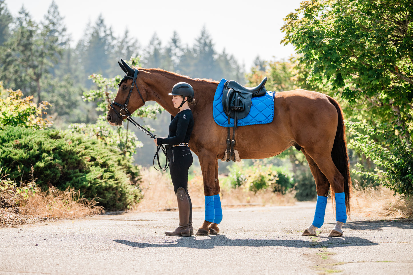 Saddle Pads - Dressage