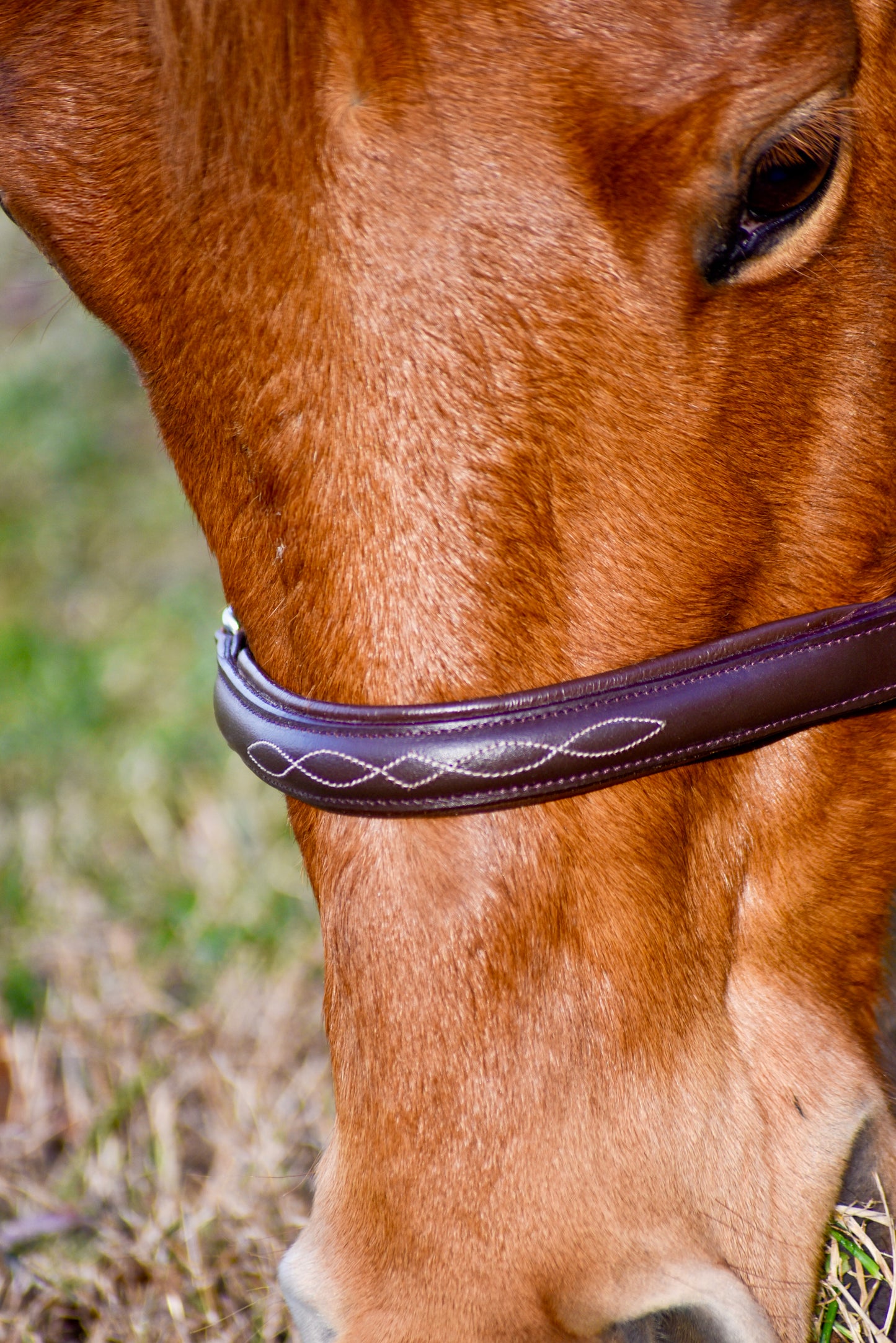 The Fancy Stitch Leather Halter