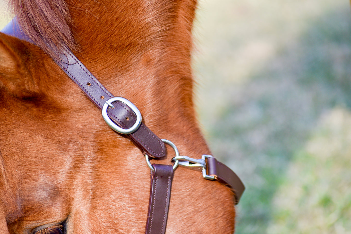 The Fancy Stitch Leather Halter