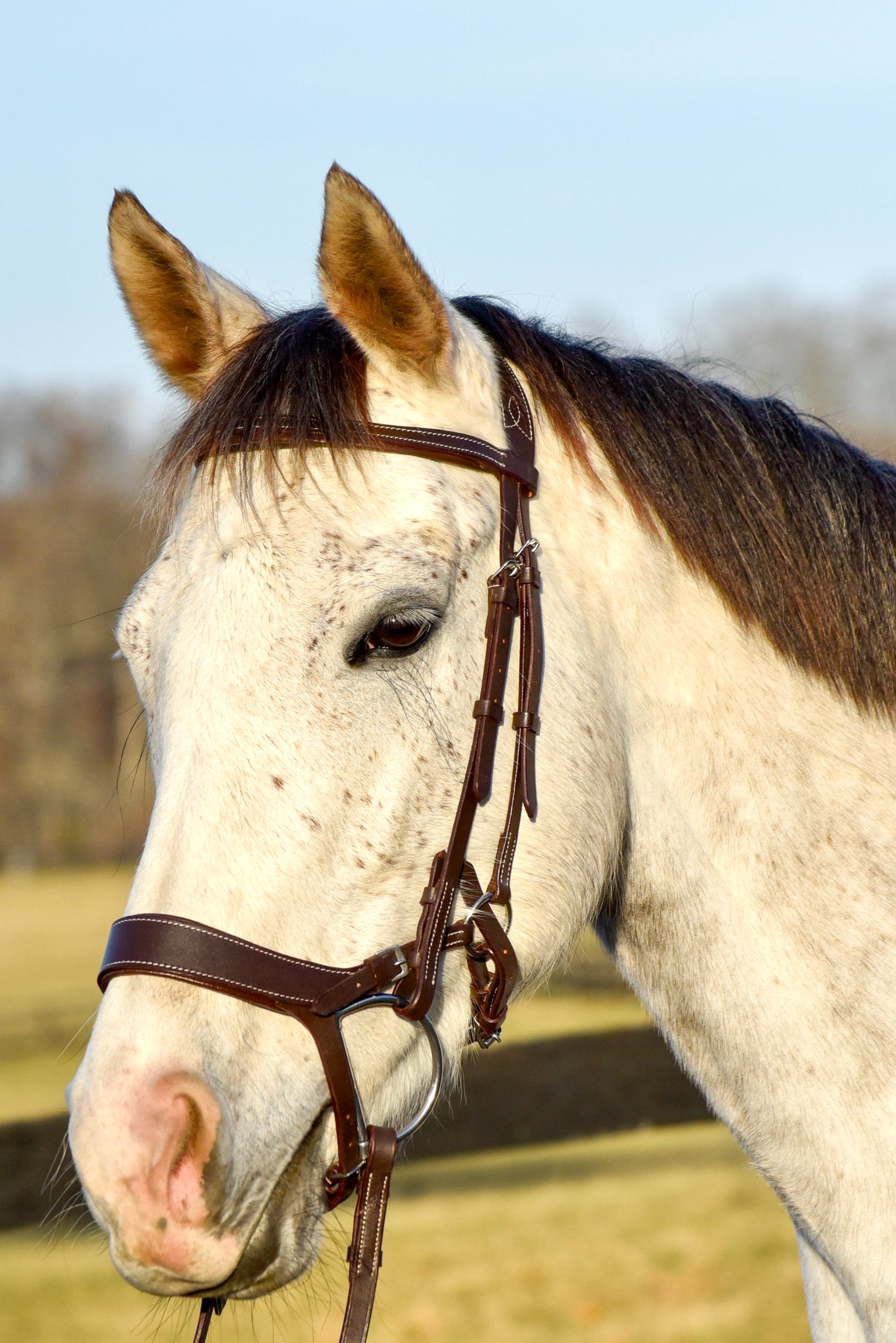 The Othello Bridle