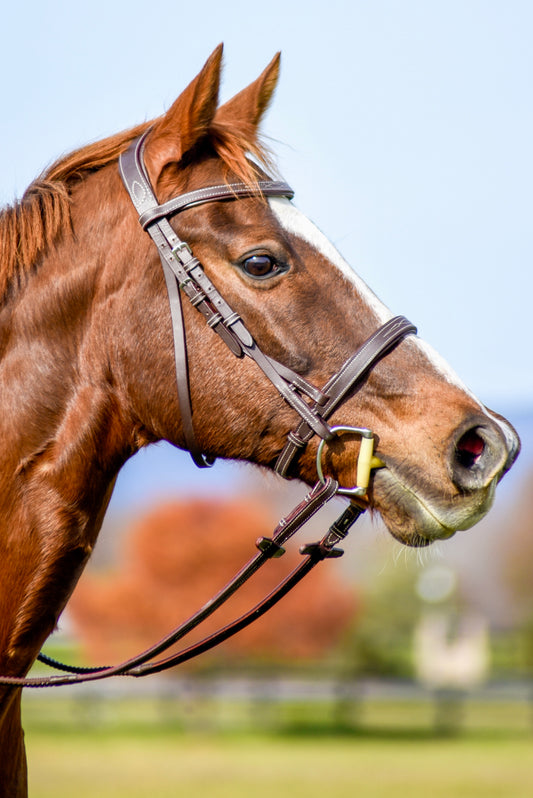 The Rowan Hunter Bridle