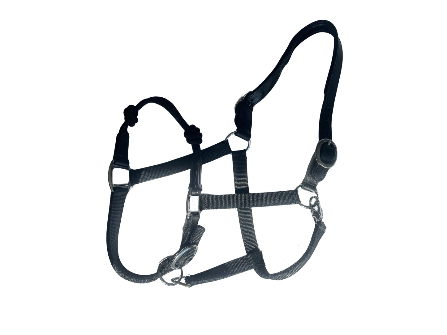 The Trifecta Halter: Rope + Nylon + Leather Breakaway Crown