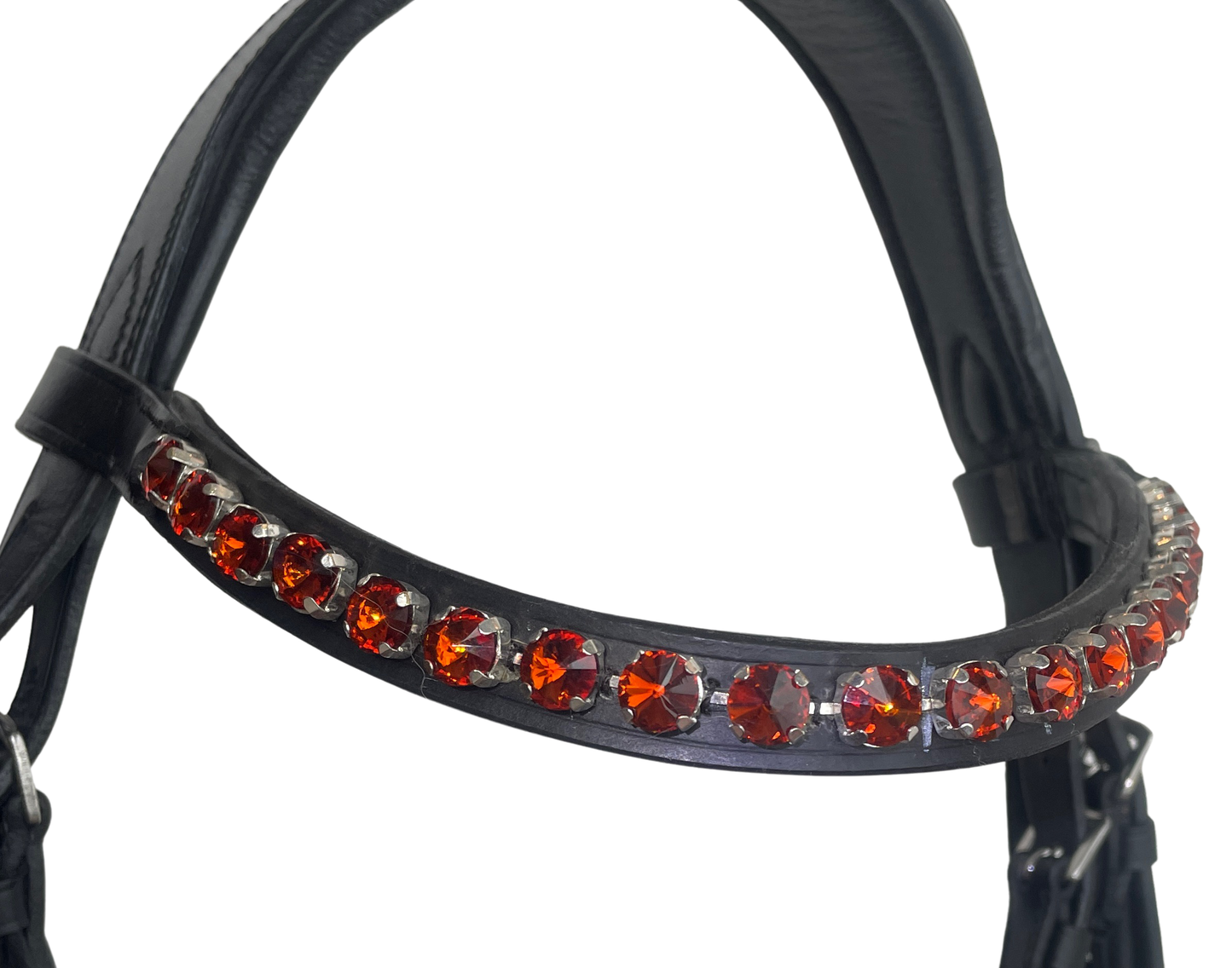 The Ruby Dressage Bridle